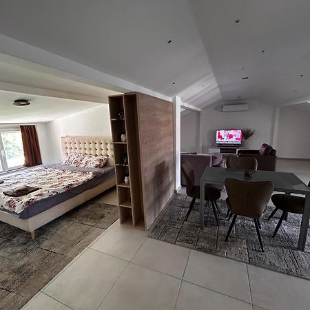 Anton Lux Apartment Kočani Екстериор снимка